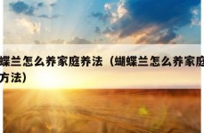 蝴蝶兰怎么养家庭养法（蝴蝶兰怎么养家庭养法方法）