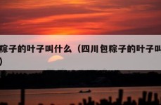 包粽子的叶子叫什么（四川包粽子的叶子叫什么）