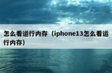 怎么看运行内存（iphone13怎么看运行内存）