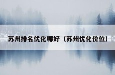 苏州排名优化哪好（苏州优化价位）