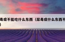 尿毒症不能吃什么东西（尿毒症什么东西不能吃）