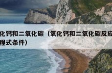 氧化钙和二氧化碳（氧化钙和二氧化碳反应的方程式条件）