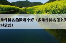 多条件排名函数哪个好（多条件排名怎么算excel公式）