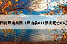 四川芦山暴雨（芦山县811洪灾死亡6人）