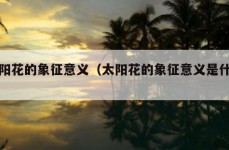 太阳花的象征意义（太阳花的象征意义是什么?）