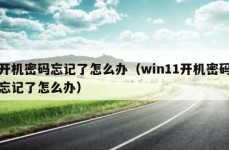 开机密码忘记了怎么办（win11开机密码忘记了怎么办）