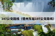 107公交路线（德州东站107公交路线）