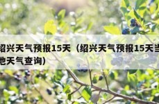 绍兴天气预报15天（绍兴天气预报15天当地天气查询）