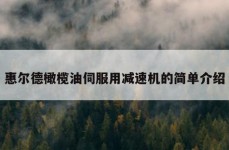 惠尔德橄榄油伺服用减速机的简单介绍