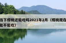 当下樱桃还能吃吗2021年2月（樱桃现在能不能吃）