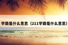 学霸是什么意思（211学霸是什么意思）