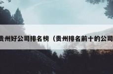 贵州好公司排名榜（贵州排名前十的公司）