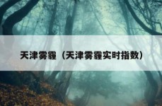 天津雾霾（天津雾霾实时指数）