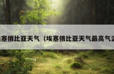 埃塞俄比亚天气（埃塞俄比亚天气最高气温）