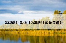 520送什么花（520送什么花合适）