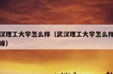 武汉理工大学怎么样（武汉理工大学怎么样张雪峰）