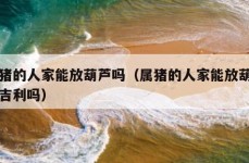 属猪的人家能放葫芦吗（属猪的人家能放葫芦吗吉利吗）