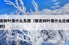 银杏树叶像什么东西（银杏树叶像什么比喻句似的）