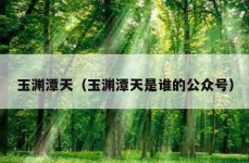 玉渊潭天（玉渊潭天是谁的公众号）