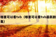 哪里可以看tvb（哪里可以看tvb最新剧集）