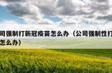 公司强制打新冠疫苗怎么办（公司强制性打疫苗怎么办）