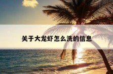 关于大龙虾怎么洗的信息