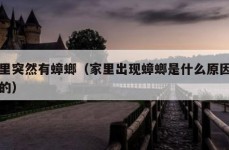 家里突然有蟑螂（家里出现蟑螂是什么原因造成的）