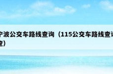 宁波公交车路线查询（115公交车路线查询查）