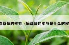 摘草莓的季节（摘草莓的季节是什么时候）