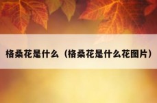 格桑花是什么（格桑花是什么花图片）