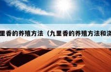 九里香的养殖方法（九里香的养殖方法和浇水）