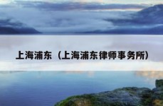 上海浦东（上海浦东律师事务所）