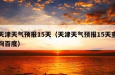 天津天气预报15天（天津天气预报15天查询百度）