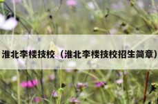 淮北李楼技校（淮北李楼技校招生简章）