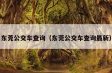 东莞公交车查询（东莞公交车查询最新）