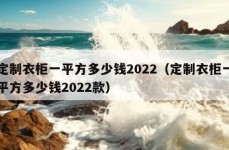 定制衣柜一平方多少钱2022（定制衣柜一平方多少钱2022款）