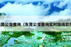 东莞公交查询（东莞公交查询实时路线软件）