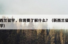 新西兰留学，你需要了解什么？（新西兰留学留学）