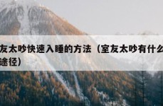 室友太吵快速入睡的方法（室友太吵有什么法律途径）