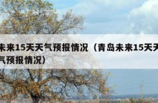 未来15天天气预报情况（青岛未来15天天气预报情况）