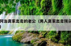 如何治离家出走的老公（男人离家出走预示什么）