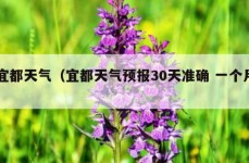 宜都天气（宜都天气预报30天准确 一个月）