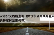 武汉市公交线路查询（武汉市公交线路查询一览表钟家村至古刹寺）