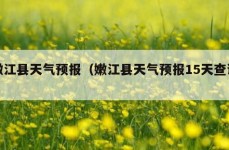 嫩江县天气预报（嫩江县天气预报15天查询）