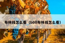 布林线怎么看（b0ll布林线怎么看）