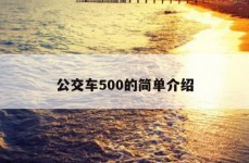 公交车500的简单介绍