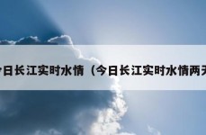 今日长江实时水情（今日长江实时水情两天）