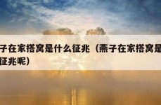 燕子在家搭窝是什么征兆（燕子在家搭窝是什么征兆呢）