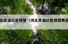 河北高温红色预警（河北高温红色预警黄借石）