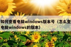 如何查看电脑windows版本号（怎么查电脑windows的版本）